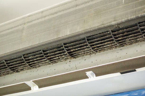 Best Emergency Air Duct Cleaning  in Springville, VA